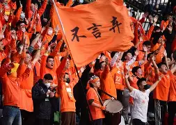 AYX GAME-F1半决赛掀起高潮，皖南雷豹队逆转陇右雄狮队，高压逼抢奏功——目标直指冠军的简单介绍