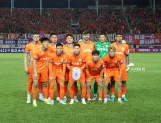 F1半决赛掀起高潮，皖南雷豹队逆转陇右雄狮队，高压逼抢奏功——目标直指冠军的简单介绍